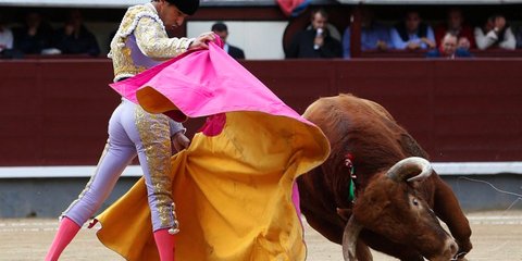 Ταυρομαχίες, Μαδρίτη