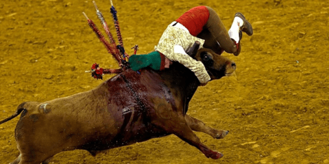 Η εικόνα της ημέρας: Επιασε τον ταύρο από τα κέρατα