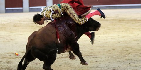 Η εκδίκηση του ταύρου -Φωτογραφία: EPA/FERNANDO ALVARADO