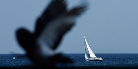 Στα ύψη ο υδράργυρος σήμερα... 