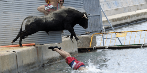 Το πιο αμφιλεγόμενο φεστιβάλ στην Ευρώπη ξεκίνησε στους δρόμους της ισπανικής Πάμπλονας. Πρόκειται για το Φεστιβάλ του Σαν Φερμέ, το οποίο γίνεται κάθε χρόνο τη δεύτερη εβδομάδα του Ιουλίου. Η πιο αξιοσημείωτη δραστηριότητα είναι οι ταυρομαχίες, αλλά και 