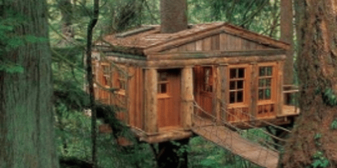 Oικονομικά και «έξυπνα» έλατα για εναλλακτικά Χριστούγεννα [εικόνες] 