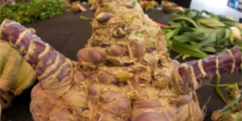 Ετήσια έκθεση με τα μεγαλύτερα λαχανικά του κόσμου [εικόνες]