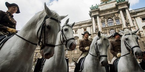 Αλογα στη Βιέννη... 