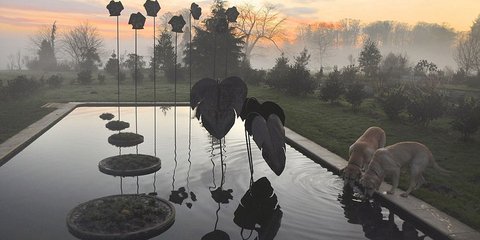 Η φωτογραφία της χρονιάς στη Βρετανία 