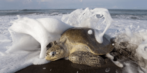 Η εικόνα της ημέρας