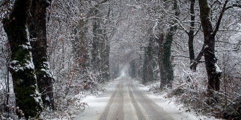 Μαγικό μονοπάτι στο χιονισμένο τοπίο του νομού Τρικάλων -Φωτογραφία: EUROKINISSI/ΘΑΝΑΣΗΣ ΚΑΛΛΙΑΡΑΣ