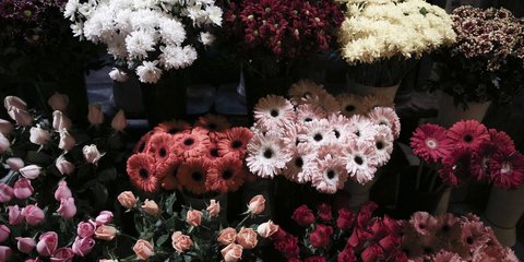 Και τα λουλουδάδικα στο Σύνταγμα στα χρώματα της σημαίας των ΛΟΑΤ