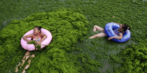 Η πιο αηδιαστική παραλία του κόσμου βρίσκεται στην Κίνα [εικόνες]