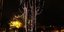 Στο πάρκο Ριζάρη το ψηλότερο χριστουγεννιάτικο δένδρο της Αθήνας - Φωτίστηκε μέ 