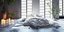 Φωτογραφία: SHUTTERSTOCK