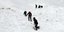 Φωτογραφία: AP/ Τρεις νεκροί από χιονοστιβάδες στις ελβετικές Αλπεις