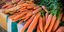 800 εκατομμύρια περισσότερα καρότα αγόρασαν οι Βρετανοί πέρυσι σε σχέση με το 2013. Φωτογραφία: Pexels 