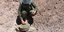 Αξιωματικός του Τάγματος Εκκαθάρισης Ναρκοπεδίων Ξηράς απενεργοποιεί νάρκες / Φωτογραφία:ΓΡ.ΤΥΠΟΥ ΓΕΣ