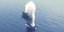Το πλοίο που βυθίστηκε από το τουρκικό υποβρύχιο σε περιοχή στην Μαύρη Θάλασσα
