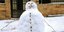 Χιονάνθρωπος/ Φωτογραφία:INTIMES NEWS- Villa Costa