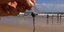 Oρδές μεδουσών bluebottle σκόρπισαν τον τρόμο σε παραλίες του Κουίνσλαντ (Φωτογραφία: Seven News) 