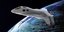 To σχέδιο του Selena Space Yacht (Εικόνα: NPO Aviation and Space Technologies)