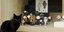 Γάτα ξεκουράζεται έξω από μία βιτρίνα με ρολόγια / Φωτογραφία: EUROKINISSI/ΘΑΝΑΣΗΣ ΚΑΛΛΙΑΡΑΣ