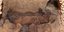 Αιγυπτιακές μούμιες σε σήραγγα