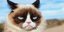 Η διάσημη Grumpy Cat 