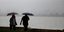Ενα ζευγάρι περπατά στη λίμνη των Ιωαννίνων κρατώντας ομπρέλες, λόγω βροχής