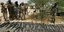 Στρατιώτες της Μπόκο Χαράμ με όπλα