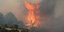Φωτιά στο δάσος Ντραγουντέλι, στη Χαλκιδική