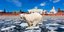 Πολική αρκούδα περιπλανιόταν σε πόλη της Σιβηρίας