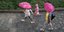 Ροζ ομπρέλες 