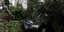 Αυτοκίνητο υπέστη ζημιές από πτώση δέντρων στη Χαλκιδική
