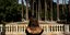 Γυναίκα μπροστά από τους φοίνικες στον εθνικό κήπο της Αθήνας