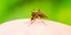 Περιστατικά λοίμωξης από τον ιό του Δυτικού Νείλου από κουνούπια