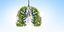 Πνεύμονας φτιαγμένος από πράσινα δέντρα