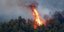 Φωτιά σε δάσος στη Τανάγρα