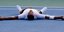 Ο τενίστας Νικ Κύργιος πεσμένος στο έδαφος μετά από αγώνα σε τουρνουά τένις στην Ουάσινγκτον