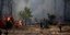 Πυροσβέστες προσπαθούν να σβήσουν την πυρκαγιά στην Εύβοια