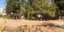 Στους Αθηναίους αποδίδονται οκτώ στρέμματα πρασίνου στην Κονίστρα Πετραλώνων [εικόνες]