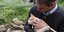 Ο Κυριάκος Μητσοτάκης αγκαλιάζει μία γάτα στο Μυστρά 