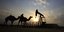 Καμήλες μπροστά από πετρελαϊκές εγκαταστάσεις