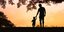 Πατέρας με τον ανήλικο γιο του χέρι-χέρι στο ηλιοβασίλεμα