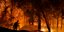 Πυροσβέστης στη μάχη με τις φλόγες στην Καλιφόρνια