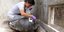 Η χελώνα δέχεται τις φροντίδες από μια κτηνίατρο