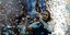 Ο Στέφανος Τσιτσιπάς σηκώνει το τρόπαιο στο Λονδίνο ανάμεσα σε κομφετί 