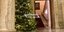 Το ένα από τα δύο χριστουγεννιάτικα δέντρα που στόλισε η Βουλή με εντολή Τασούλα 