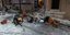 Σκηνικό πολέμου στο Κουκάκι: Οι καταληψίες πέταξαν στους αστυνομικούς πέτρες, έπιπλα και πυροσβεστήρες 