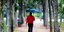 Αντρας με μπλε ομπρέλα περπατά σε άλσος