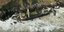 Το μεταγωγικό πλοίο φάντασμα Alta που ξέβρασε η καταιγίδα Ντένις στις ακτές της Ιρλανδίας
