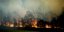 Αυστραλία: Οι πυρκαγιές κατέστρεψαν το ένα πέμπτο των δασών της χώρας 