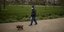 Άνδρας βγάζει βόλτα τον σκύλο του, στην υπό καραντίνα Ισπανία